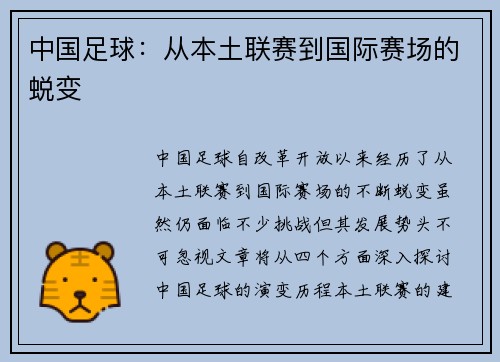 中国足球：从本土联赛到国际赛场的蜕变